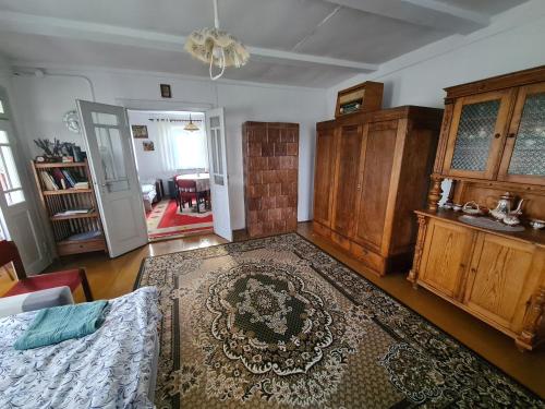 卢布林地区托马舒夫Domek na wsi的一间客厅,地板上铺有地毯