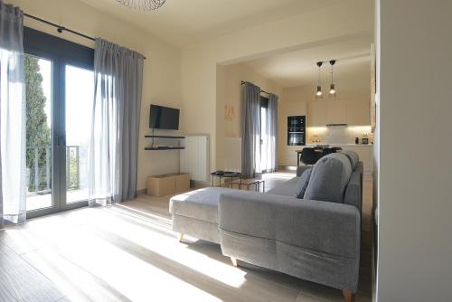 马科普隆Aellō luxury apartments的带沙发的客厅和厨房