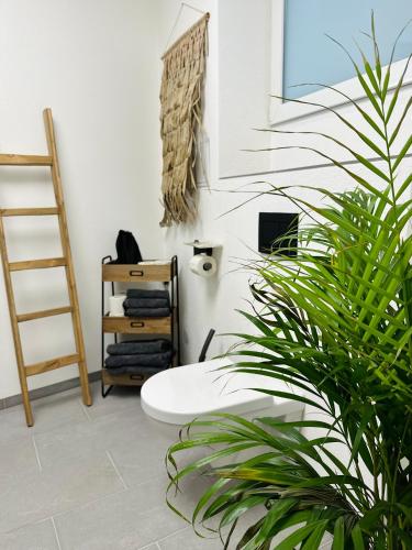 巴特迪克海姆Heimat - Ein Stück Heimat im Alltag的浴室配有白色卫生间和植物