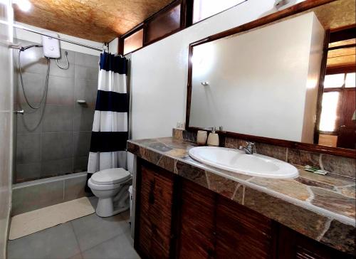 洛斯拉甘斯El Mirador de Punta Veleros的一间带水槽、卫生间和镜子的浴室