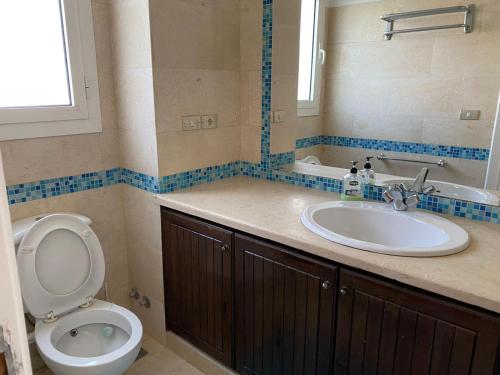 QināBabel Apartment Qena的一间带卫生间和水槽的浴室