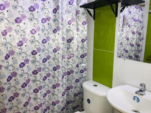 梅尔加GINEZ PRODUCTION COL的浴室设有卫生间、水槽和淋浴帘