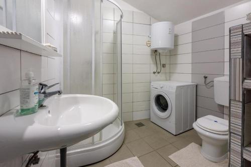 茨里克韦尼察Apartman Franka的一间带水槽和洗衣机的浴室