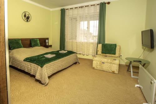 鲍洛托奈代里奇Diófa Apartman Balatonederics的一间卧室设有一张床、一台电视和一个窗口。