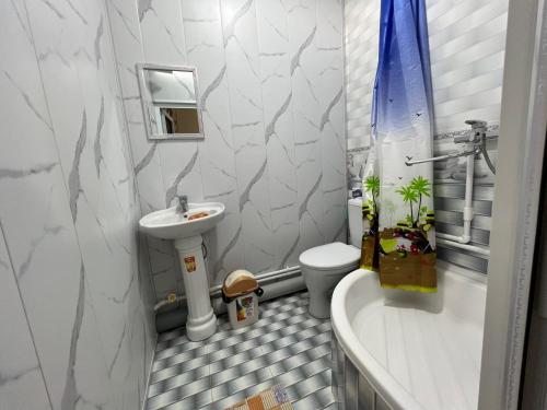布哈拉Shaxruza Shahzoda Guest House的一间带水槽、浴缸和卫生间的浴室