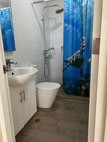 纳苏格布梅娜泻湖皮克罗洛度假屋 的一间带水槽、卫生间和淋浴的浴室