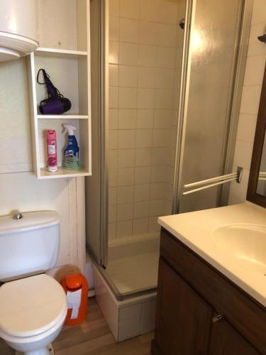 苏佩贝斯Appartement Super Besse的带淋浴、卫生间和盥洗盆的浴室