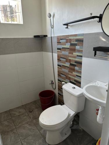 BalangaBlock 7 Dormitelle - Balanga City的一间带卫生间和水槽的浴室