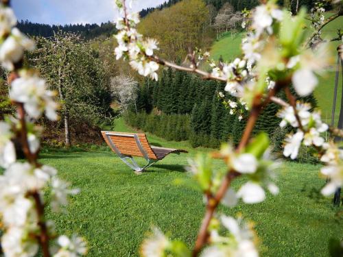 巴特彼得斯塔尔-格里斯巴赫Bühlbauernhof的花草草中的公园长凳
