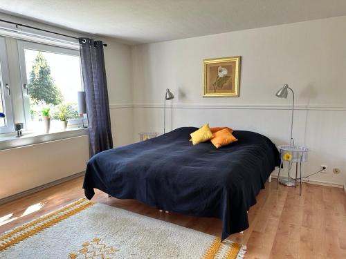 斯泰农松德Rymlig lägenhet i Stenungsund的一间卧室配有一张带蓝色床单的床和一扇窗户。
