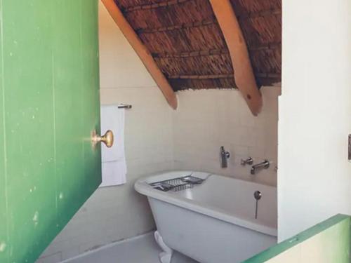 帕尔De Kleijne Bos的带浴缸的浴室和绿门