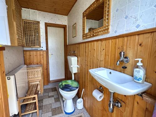 滨湖克拉科Ferienhaus Krakow am See SEE 7981的一间带水槽和卫生间的浴室