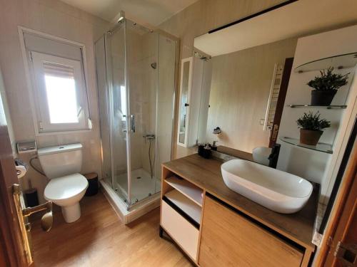 维戈Acogedora casa con vistas panorámicas de vigo的一间带水槽、卫生间和淋浴的浴室