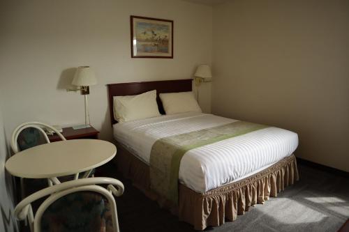 怀特霍斯Destination Family Hotel的酒店客房配有一张床铺、一张桌子和一张书桌。