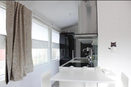 松兹瓦尔Sundsvall lägenhet的白色的厨房设有水槽和窗户