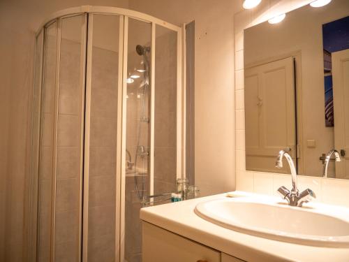 Saint-Jean-dʼAigues-VivesGîtes du Hameau Baylesse的一间带水槽和淋浴的浴室