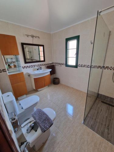塔拉哈勒赫TaraVilla的带淋浴、卫生间和盥洗盆的浴室