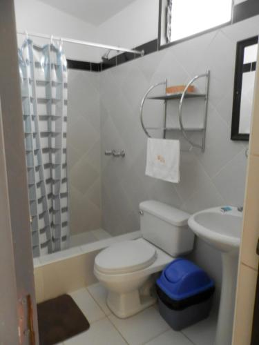 卡瓦纳科德La Posada del Conde Lodge的一间带卫生间和水槽的浴室