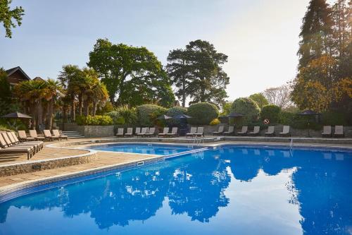利明顿麦克唐纳艾尔莫斯苑度假村的一个带椅子和树木的大型游泳池