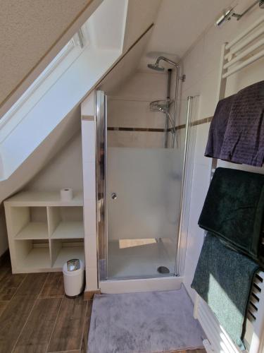 柯尼希施泰因易北Tinyroom mit Ausblick的阁楼带淋浴的浴室