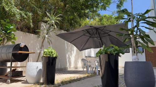 拉巴特Cozy Appartement in a Villa close to Mahaj Riad Rabat的庭院里的雨伞,种有盆栽植物