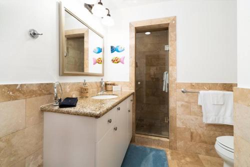 普罗维登西亚莱斯岛The Cottonwood House - Beach Villa的一间带水槽、卫生间和淋浴的浴室