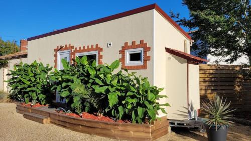 Saint-Aignan-Grand-LieuCopacabana TINY HOUSE studio terrasse jardin的前面有植物的小房子
