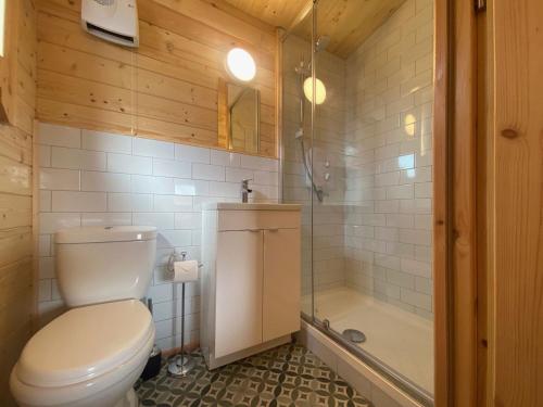 克利夫登Cabin 438 - Clifden的一间带卫生间和淋浴的浴室