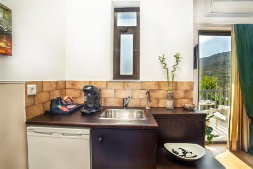 Diakofti波尔图迪亚柯福蒂酒店的厨房配有水槽和台面