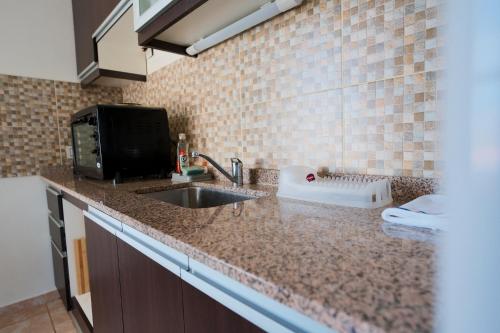 波萨达斯Regia Apartamentos Posadas的厨房柜台设有水槽和微波炉
