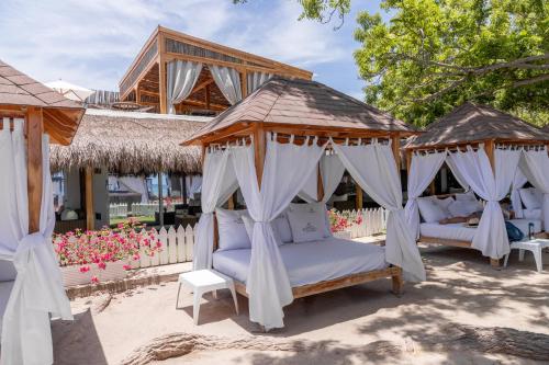 格兰德岛Bora Bora Beach Club & Hotel的海滩上的几个吊床