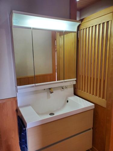 高知Guesthouse Tosa Hanare - Vacation STAY 14262的一间带水槽和镜子的浴室
