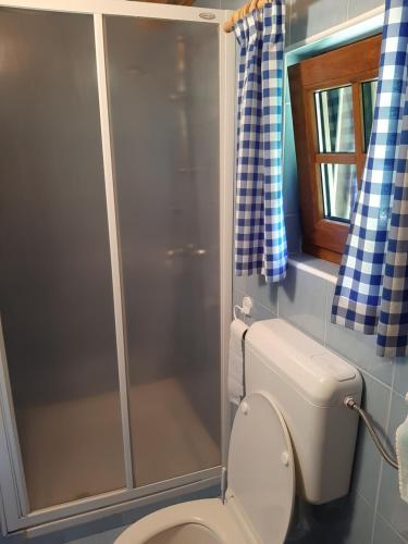 索卡Cottage Lepena的一间带卫生间和玻璃淋浴间的浴室