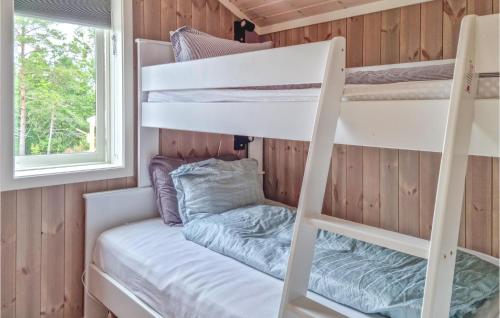费尔维克Amazing Home In Frvik With Wifi的一个小房子里的一张双层床,设有窗户