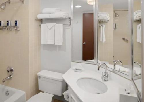 罗缪勒斯底特律都会机场福朋喜来登酒店的一间带水槽、卫生间和镜子的浴室
