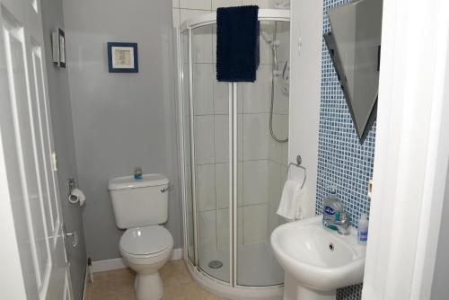 CloverhillCloverhill Gate Lodge的带淋浴、卫生间和盥洗盆的浴室