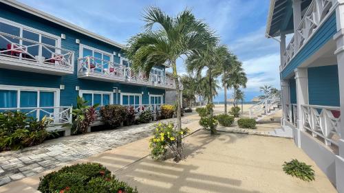 珀拉什奇亚Brisa Oceano Resort的海滩旁的一座种植了棕榈树的蓝色建筑