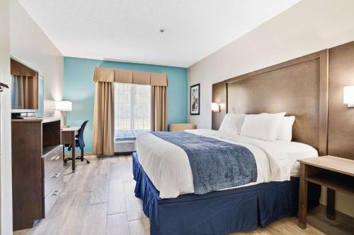 北托普塞尔海滩Blue Water Inn & Suites BW Signature Collection的配有一张床和一张书桌的酒店客房