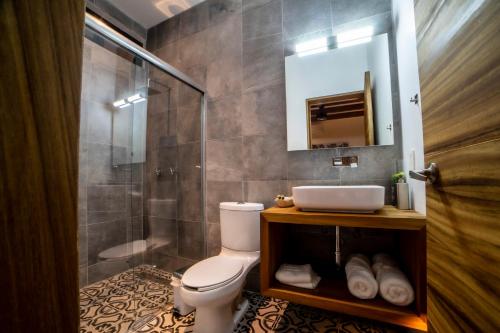 查帕拉Villa Guadalupe的浴室配有卫生间、盥洗盆和淋浴。