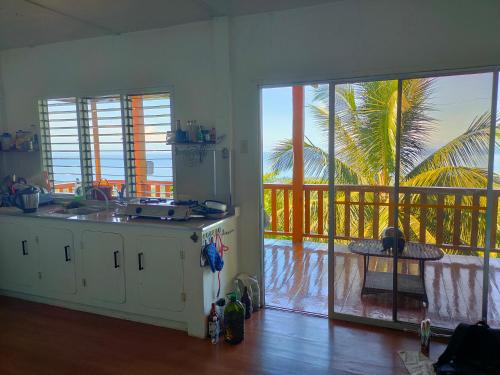 曼巴豪el balcon camiguin的厨房享有棕榈树的景致。