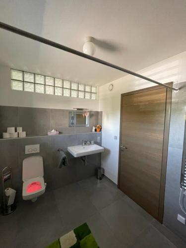 梅尔尼克Ubytování U Vinice的浴室配有卫生间、盥洗盆和淋浴。