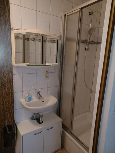 梅森Ferienwohnung Viola的一间带水槽和淋浴的浴室