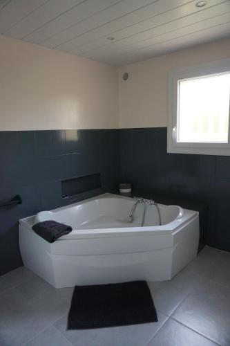 达韦济约Appartement Davézieux的带窗户的浴室内的白色浴缸