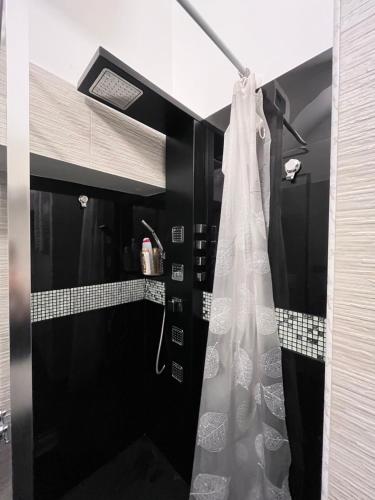 罗迪-加尔加尼科Casa vacanze la volta的黑白浴室设有窗帘和淋浴