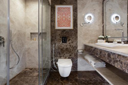 开罗Concorde El Salam Cairo Hotel & Casino的带淋浴、卫生间和盥洗盆的浴室