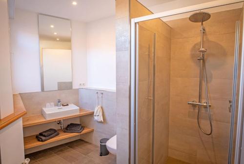 达恩Landgasthaus & Hotel zur Krone的带淋浴和盥洗盆的浴室