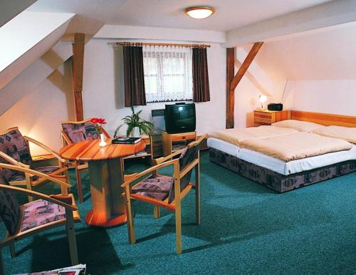 霍尼普拉纳Hotel na Jezeře的一间卧室配有一张床、一张书桌和一台电视