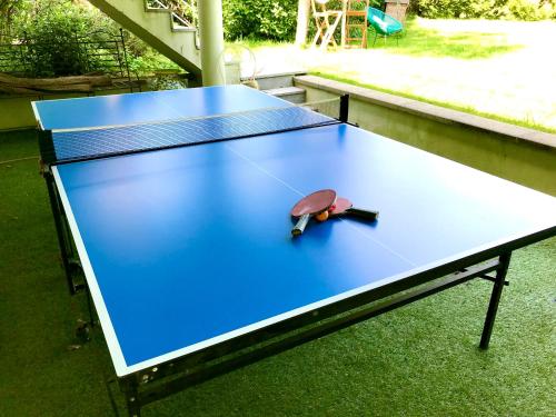 泰昂维Superbe studio privé的乒乓球桌,上面有乌龟