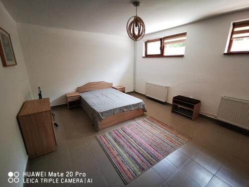 克卢日-纳波卡Cluj City Marasti Apartament 1的卧室配有一张床,地板上铺有地毯