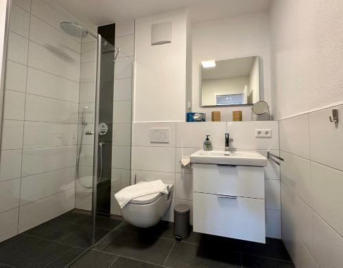 菲施巴豪Apartment Breitensteinblick - wandern, radeln und Mehr的浴室配有卫生间、盥洗盆和淋浴。